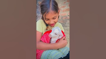 Wait for end ❤️🙏  #shortsvideo #emotional #explorepage #foryourpage #youtubeshorts #emotional