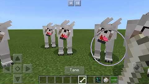 MINECRAFT MUTANT WOLF VS HEROBRINE AND SHOUTOUTS