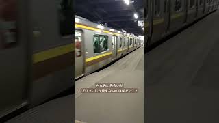 日光線宇都宮駅入線シーン #jr東日本  #宇都宮駅 #日光線 #e131系