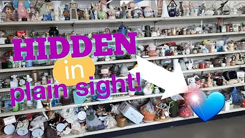 Hidden in Plain Sight! - Shop Along With Me - Good...
