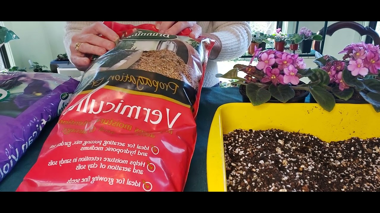 Beginners Guide - How to Mix and Make AFRICAN VIOLET SOIL for Healthy Plants & Flowers -