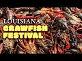 FOOD TOUR Through Louisiana&#39;s LARGEST Crawfish Festival