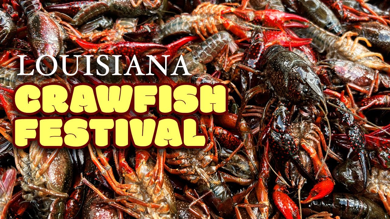 FOOD TOUR Through Louisiana's LARGEST Crawfish Festival YouTube