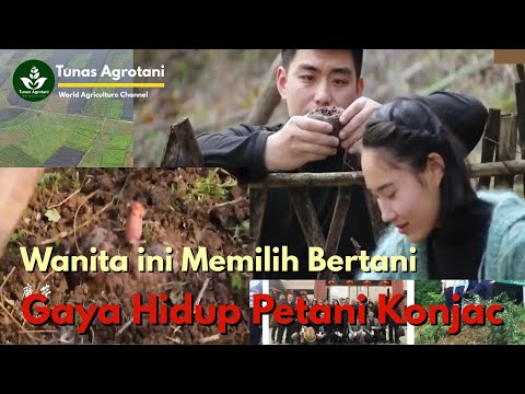 Gaya Hidup Wanita Kampung Di China Petani Konjac Turun Menurun