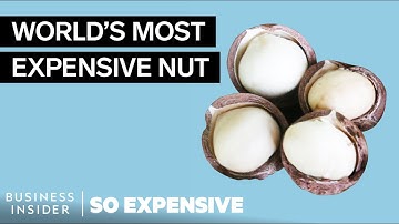 Why Macadamia Nuts Are So Expensive | So Expensive