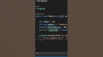 VARIABLES EN PROGRAMACION
