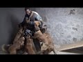 7 Belgian Malinois protect owner ! 7 Belgian Malinois protect owner !