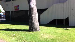 My First Inwards Wall Flip