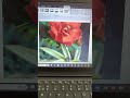 MS Word में Image Croping कैसे करेंगे ? #shorts #ytshorts #tranding #itschoolranchi