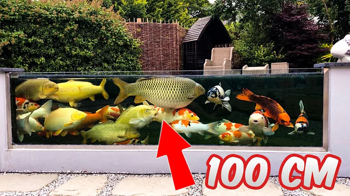 Garden Designs | Epic Backyard Koi Ponds with Glass