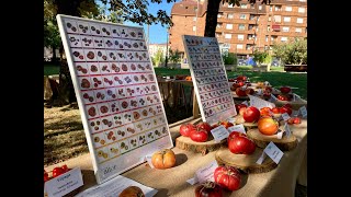 Festival del tomate de Torrelavega 2021