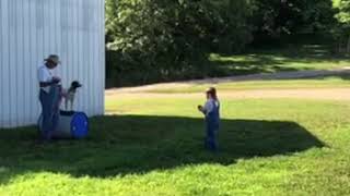 Champ steadiness training by Dawn Droel 113 views 3 years ago 15 seconds