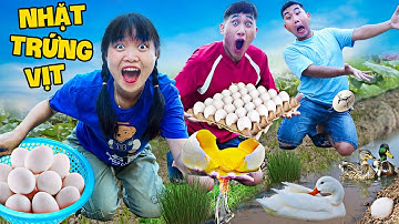 Hà Sam Đi Nhặt Trứng Vịt Và Thi Nấu Ăn Các Món Trứng - Trứng Chiên Nước Mắm Với Pizza Mì Tôm Trứng