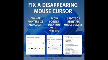 Fix Mouse Cursor Disappearing on Windows 11 (8 Easy Solutions)