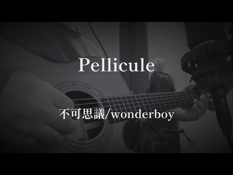 Pellicule（弾き語りcover）: 不可思議/wonderboy
