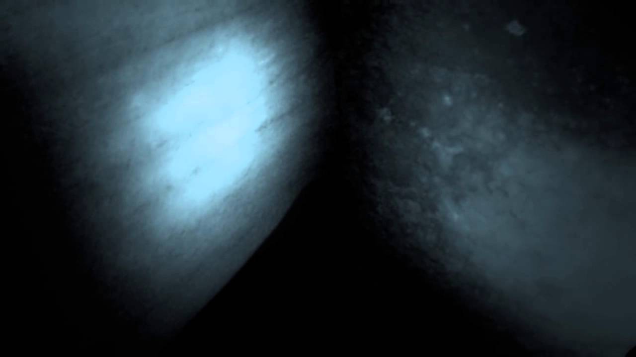 Spis 6 om dagen - og husk variation