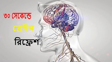 Increase Your Mind Power -30 সেকেন্ডে ব্রেনকে Reset করতে শিখুন