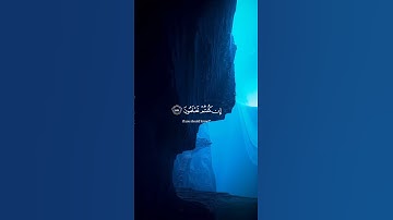 سورة المؤمنون للقارء ياسر الدوسري #اكسبلور #duet #راحة_نفسية #قران_كريم #yasseraldossary #تلاوة