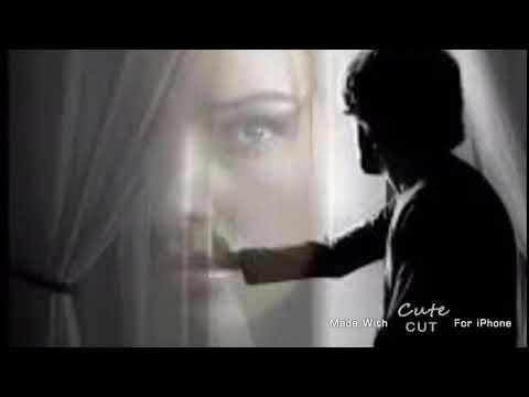 مقال عن الغيره