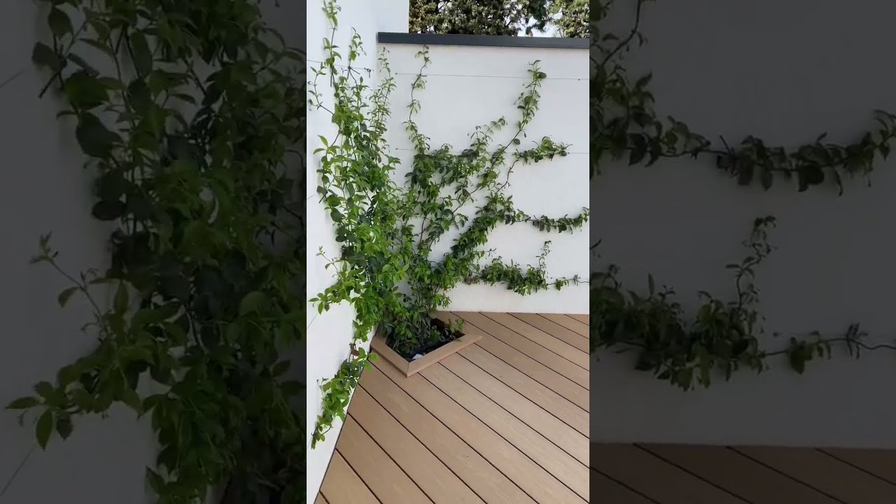 Terrasse composite silvadec