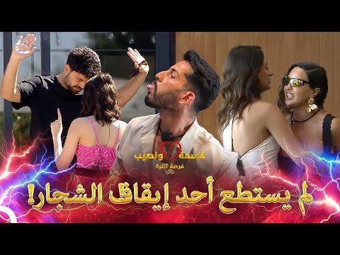 مشاهد شجار قسمة ونصيب 3    قسمة و نصيب