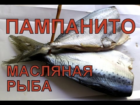 Видео: Какая рыба - масляная рыба?