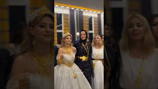 Inside a Dubai Sheikh’s Wedding: Royal Luxury and Golden Gifts #shortvideo #shortsfeed