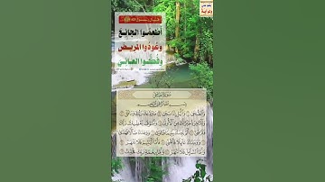 القرآن الكريم. سعود الشريم. سورة الضحى