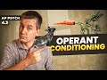 Operant Conditioning Quiz