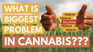 What is the number 1 problem in the cannabis industry? (a Wake + Bake Rant episode)