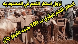 اسعار العجول الديكور اللحم البقري في سوق ال منيه السعيد تبع المحموديه يوم 5/3/2023