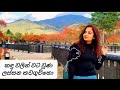 කඳු වලින් වට වුණ ලස්සන කවගුචිකො ..| Autumn colours