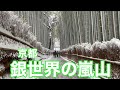 【雪景色の京都】銀世界の京都嵐山を歩く Walk in Snow Arashiyama,Kyoto 【4K】 渡月橋〜竹林の小径 2023/01/25