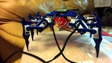 Hexapod movement test