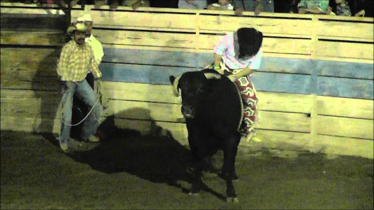 EL CHAPARRITO DE ORO VS EL DESCONOCIDO 1/1/2012 YouTube