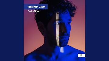 Partita No. 2 in D Minor, BWV 1004 (Arr. for Double Bass by Florentin Ginot) : I. Allemanda