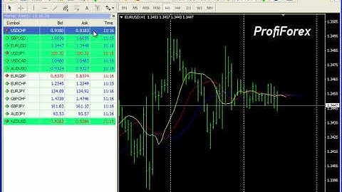 Profiforex Metatrader 4:Market Review