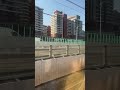 #197 🚧 Trains 🛤️ Railway 🚂 LevelCrossings 🚦 Lovers 😍 High-speed .mp4