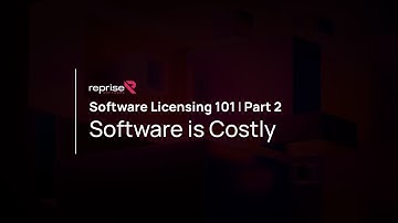 Software Licensing 101 part 2 - software is costly