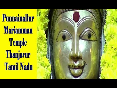punnainallur mariamman temple history in tamil punnainallur mariamman temple history in tamil