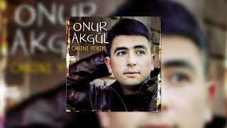 Onur Aygül - Giderim Resimi