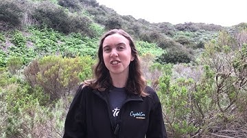 Module 7 Explore 1 Video 3