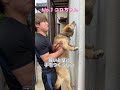賢い犬は壁に手を付くらしい…#shorts