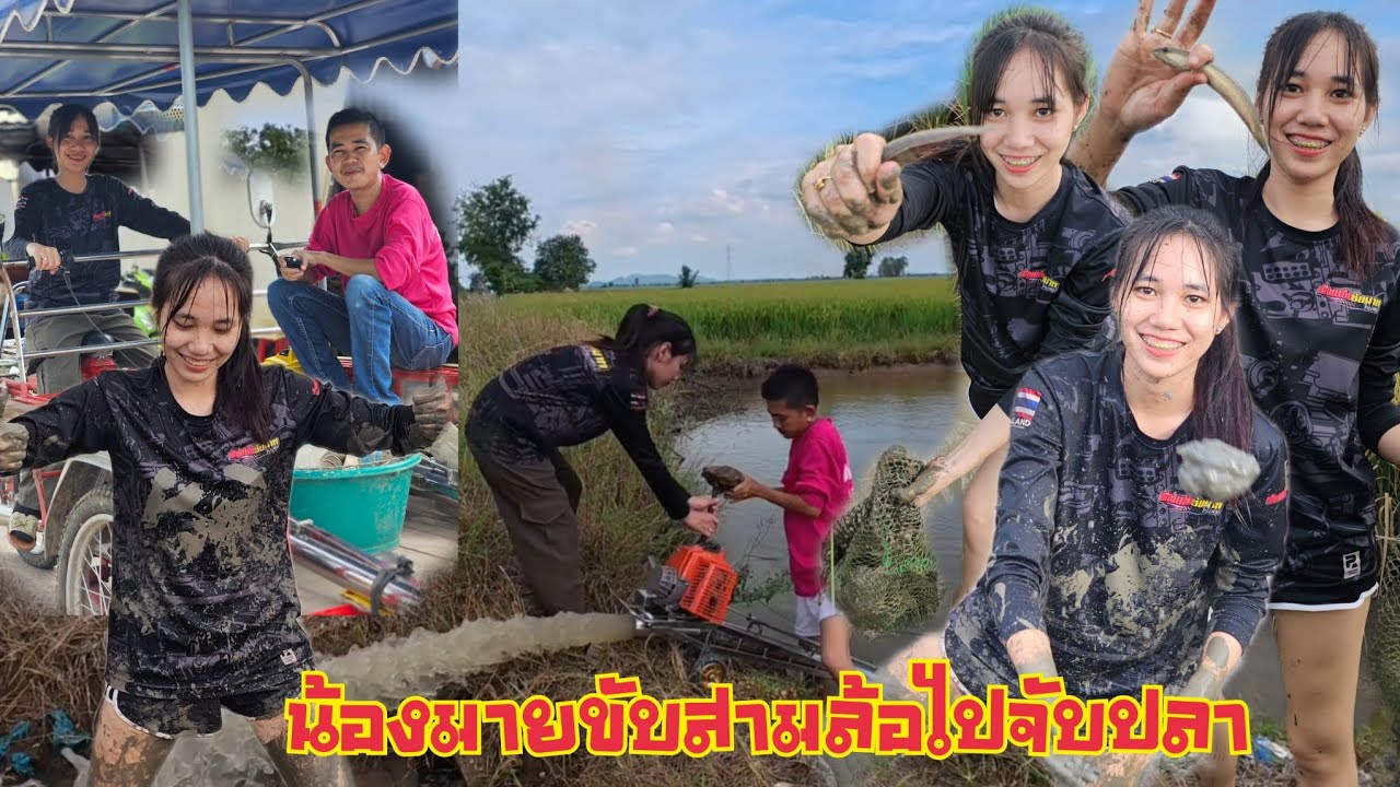 จับปลา น้องมายพาขับสามล้อไปวิดน้ำจับปลาในทุ่ง