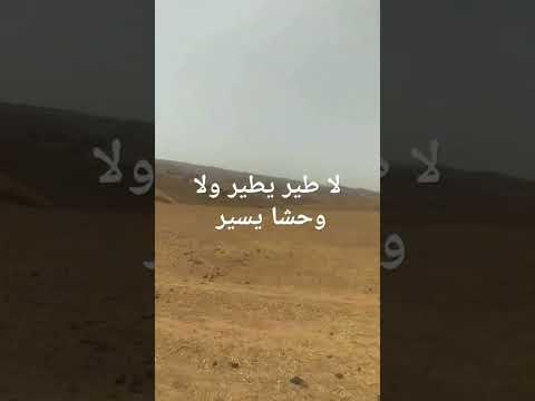 لا طير يطير ولا وحشا يسير