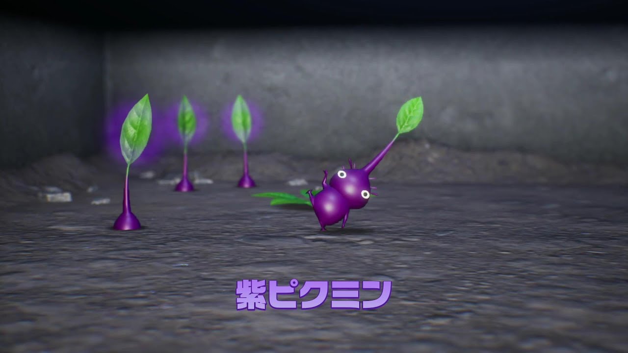ピクミン4】紫ピクミン【Pikmin 4/Switch】 - YouTube