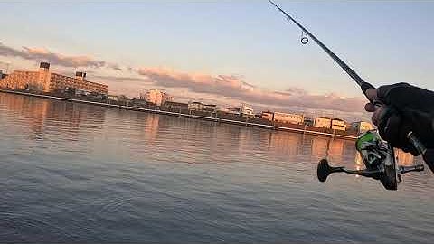 MỘT BUỔI CHIỀU CÂU CÁ Ở NHẬT BẢN.CẢNH VẬT RẤT ĐẸP NHƯNG….