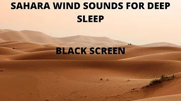 Sahara Desert Wind Sounds For Deep Sleep | DARK SCREEN | 10 HRS