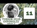 Possum head chronicles series 03 episode 11