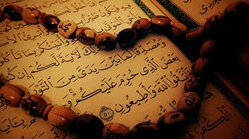 سورة الانسان SURAT AL INSAN القرآن الكريم Quran Coran